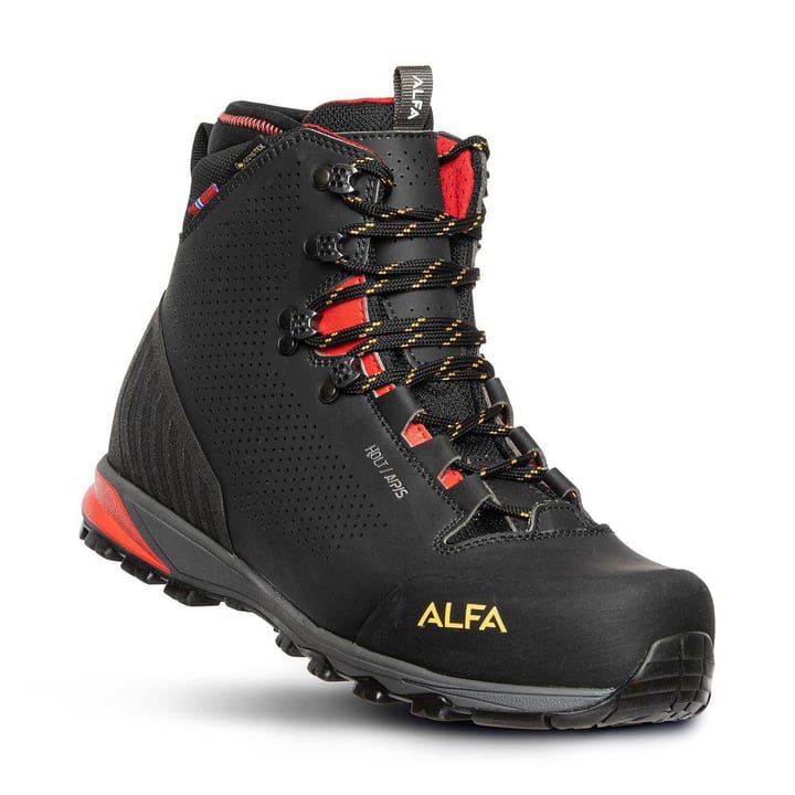 Alfa Holt A/P/S GTX M Black Alfa Alfa Holt A/P/S GTX M Black Alfa
