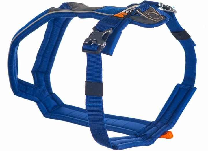 Line Harness  orange Non-stop Dogwear