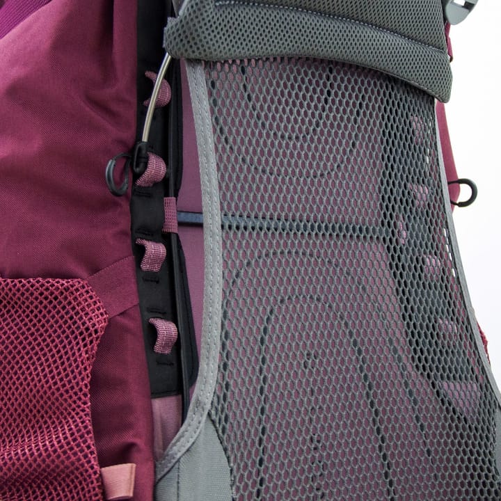 Osprey Renn 65 Aurora Purple Osprey Backpacks and Bags Osprey Renn 65 Aurora Purple Osprey Backpacks and Bags