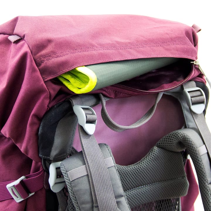 Osprey Renn 65 Aurora Purple Osprey Backpacks and Bags Osprey Renn 65 Aurora Purple Osprey Backpacks and Bags