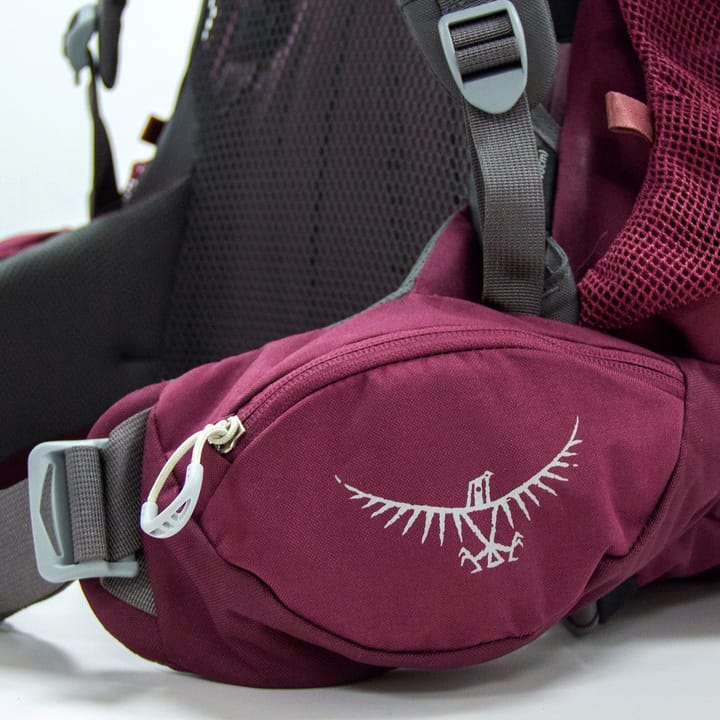 Osprey Renn 65 Aurora Purple Osprey Backpacks and Bags
