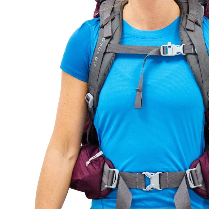 Osprey Renn 65 Aurora Purple Osprey Backpacks and Bags Osprey Renn 65 Aurora Purple Osprey Backpacks and Bags
