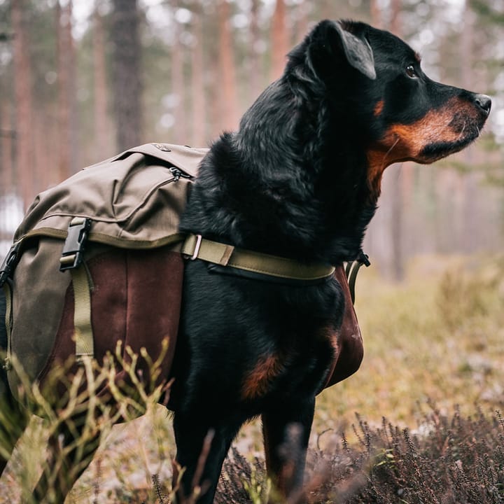 Seleverkstedet Togo Hundekløv Grønn/Brun S Seleverkstedet Seleverkstedet Togo Hundekløv Grønn/Brun S Seleverkstedet