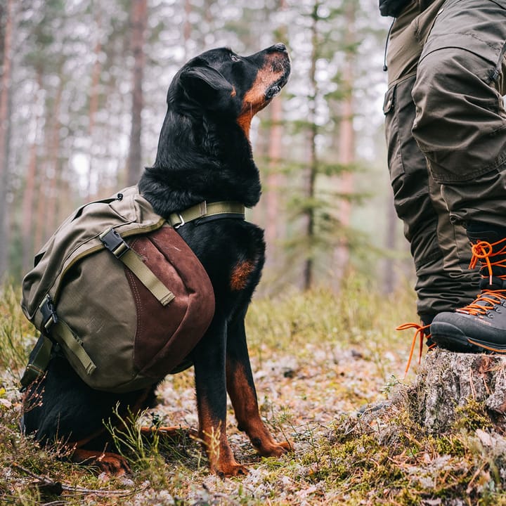 Seleverkstedet Togo Hundekløv Grønn/Brun S Seleverkstedet Seleverkstedet Togo Hundekløv Grønn/Brun S Seleverkstedet