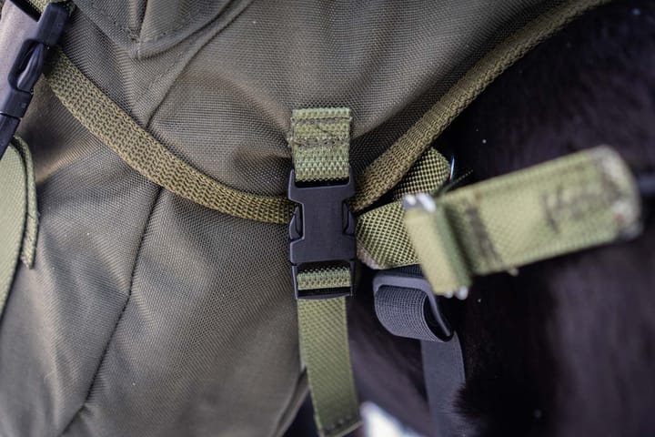 Seleverkstedet Togo Hundekløv Grønn/Brun S Seleverkstedet Seleverkstedet Togo Hundekløv Grønn/Brun S Seleverkstedet
