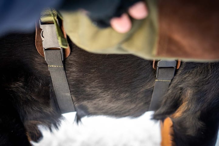 Seleverkstedet Togo Hundekløv Grønn/Brun S Seleverkstedet Seleverkstedet Togo Hundekløv Grønn/Brun S Seleverkstedet