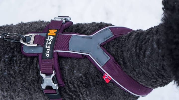 Non-Stop Dogwear Line Harness Orange Non-stop Dogwear Non-Stop Dogwear Line Harness Orange Non-stop Dogwear